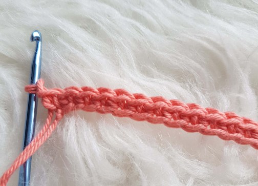 36543496_10155919806309094_5508671242204348416_n